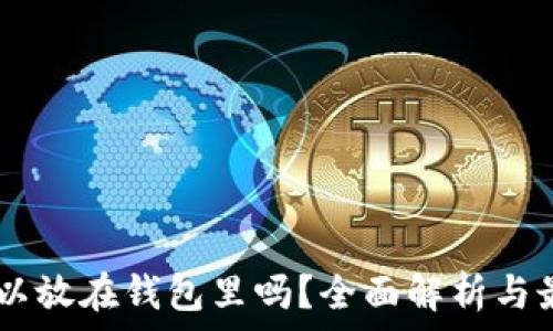  
USDT可以放在钱包里吗？全面解析与最佳选择