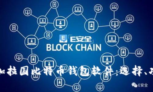 全面解析孟加拉国比特币钱包软件：选择、功能与安全性