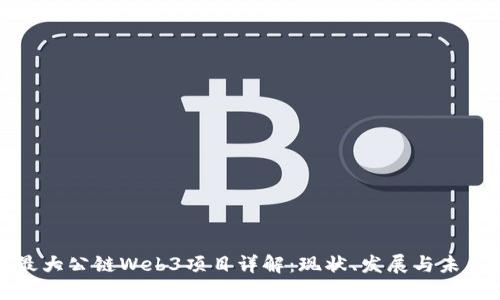 全球最大公链Web3项目详解：现状、发展与未来趋势