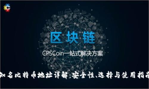 知名比特币地址详解：安全性、选择与使用指南